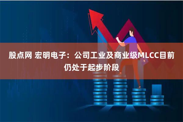 股点网 宏明电子：公司工业及商业级MLCC目前仍处于起步阶段