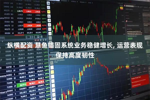 纵横配资 慧鱼锚固系统业务稳健增长, 运营表现保持高度韧性
