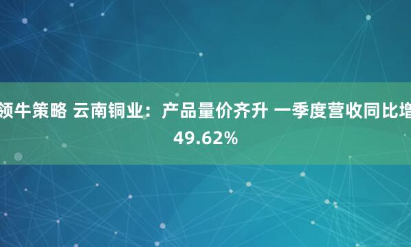 领牛策略 云南铜业：产品量价齐升 一季度营收同比增49.62%