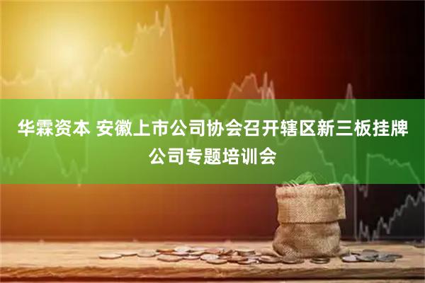 华霖资本 安徽上市公司协会召开辖区新三板挂牌公司专题培训会