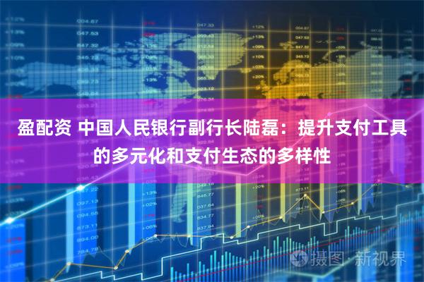 盈配资 中国人民银行副行长陆磊：提升支付工具的多元化和支付生态的多样性