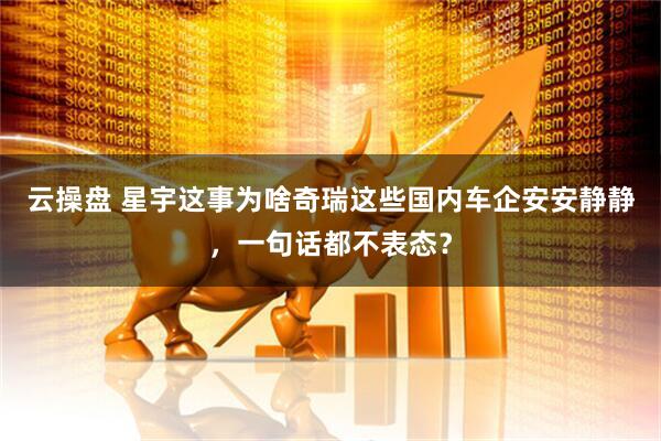 云操盘 星宇这事为啥奇瑞这些国内车企安安静静，一句话都不表态？